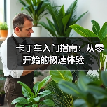 卡丁车入门指南:从零开始的极速体验(图4) 卡丁车入门指南:从零开始的极速体验(图4)