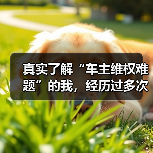 真实了解“车主维权难题”的我，经历过多次与4S店的“暗战”，深感三包政策解读的重要性。这个政策，像一把双刃剑，既保护消费者权益，又让厂商感受到压力。很多车主对“（图2）