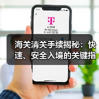 海关清关手续揭秘：快速、安全入境的关键指南（图1）