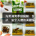 海关清关手续揭秘：快速、安全入境的关键指南（图3）