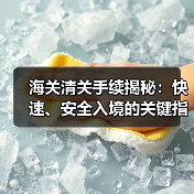 海关清关手续揭秘：快速、安全入境的关键指南（图4）