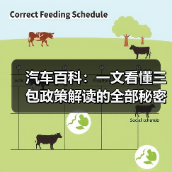 汽车百科：一文看懂三包政策解读的全部秘密（图2）