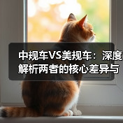 中规车VS美规车：深度解析两者的核心差异与实际影响（图4）