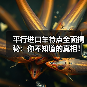 平行进口车特点全面揭秘：你不知道的真相！（图2）