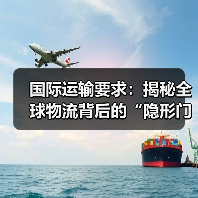 国际运输要求：揭秘全球物流背后的“隐形门槛”（图2）