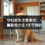 孕妇乘车注意事项：一篇看完少走3年弯路的实用指南（图4）