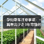 孕妇乘车注意事项：一篇看完少走3年弯路的实用指南（图3）