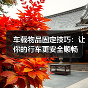 车载物品固定技巧:让你的行车更安全顺畅(图4) 车载物品固定技巧:让你的行车更安全顺畅(图4)