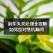 刹车失灵处理全攻略：如何应对危机瞬间（图1）