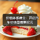 价格体系建立：开启汽车价值管理新纪元（图4）