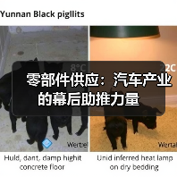 零部件供应:汽车产业的幕后助推力量(图3) 零部件供应:汽车产业的幕后助推力量(图3)