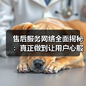 售后服务网络全面揭秘：真正做到让用户心服口服的秘密（图2）