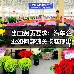 出口资质要求：汽车企业如何突破关卡实现出口梦想（图2）