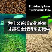 为什么跨越文化差异，才能在全球汽车市场中掌握先机？（图3）