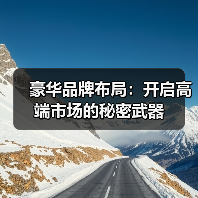 豪华品牌布局:开启高端市场的秘密武器(图2) 豪华品牌布局:开启高端市场的秘密武器(图2)