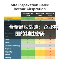 合资品牌战略:企业突围的制胜密码(图2) 合资品牌战略:企业突围的制胜密码(图2)