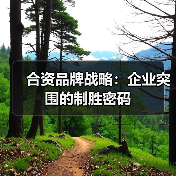 合资品牌战略:企业突围的制胜密码(图4) 合资品牌战略:企业突围的制胜密码(图4)