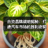 合资品牌战略揭秘：打造汽车市场的胜利密码（图2）