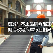爆发！本土品牌崛起正彻底改写汽车行业格局（图4）