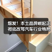 爆发！本土品牌崛起正彻底改写汽车行业格局（图3）
