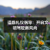 道路礼仪倡导:开启文明驾驶新风尚(图1) 道路礼仪倡导:开启文明驾驶新风尚(图1)