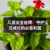 儿童安全座椅:守护宝贝成长的必备利器(图4) 儿童安全座椅:守护宝贝成长的必备利器(图4)