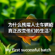 为什么残障人士车辆能真正改变他们的生活?这是一个值得每个人深思的问题。一辆专为残障人士设计的车辆,或许并不只是出行工具,更是自主、尊严和幸福的象征。数据显示,全(图1) 为什么残障人士车辆能真正改变他们的生活?这是一个值得每个人深思的问题。一辆专为残障人士设计的车辆,或许并不只是出行工具,更是自主、尊严和幸福的象征。数据显示,全(图1)