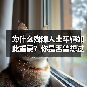 为什么残障人士车辆如此重要?你是否曾想过一辆专为残障人士设计的车,是怎样让他们的生活变得更加自由和尊严?最新数据显示,全球残障人士数量已高达8亿,拥有车辆的比例(图4) 为什么残障人士车辆如此重要?你是否曾想过一辆专为残障人士设计的车,是怎样让他们的生活变得更加自由和尊严?最新数据显示,全球残障人士数量已高达8亿,拥有车辆的比例(图4)