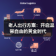 老人出行方案：开启温馨自由的黄金时代（图3）