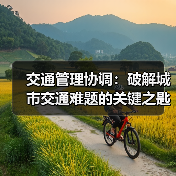 交通管理协调:破解城市交通难题的关键之匙(图3) 交通管理协调:破解城市交通难题的关键之匙(图3)