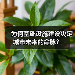 为何基础设施建设决定城市未来的命脉？（图2）