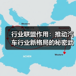 行业联盟作用：推动汽车行业新格局的秘密武器（图4）