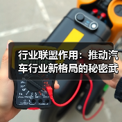 行业联盟作用：推动汽车行业新格局的秘密武器（图2）