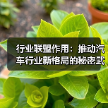 行业联盟作用：推动汽车行业新格局的秘密武器（图3）