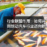行业联盟作用:如何共同驱动汽车行业迈向新高度(图4) 行业联盟作用:如何共同驱动汽车行业迈向新高度(图4)