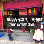 跨界合作案例:创新驱动的营销新风尚(图2) 跨界合作案例:创新驱动的营销新风尚(图2)