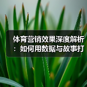 体育营销效果深度解析:如何用数据与故事打造爆款引流(图3) 体育营销效果深度解析:如何用数据与故事打造爆款引流(图3)