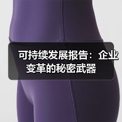 可持续发展报告：企业变革的秘密武器（图4）
