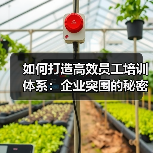 如何打造高效员工培训体系：企业突围的秘密武器（图2）