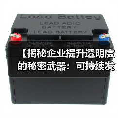 【揭秘企业提升透明度的秘密武器：可持续发展报告】（图3）