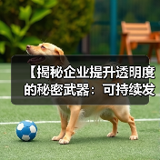 【揭秘企业提升透明度的秘密武器：可持续发展报告】（图2）