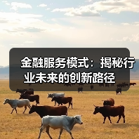 金融服务模式：揭秘行业未来的创新路径（图4）