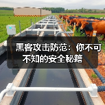 黑客攻击防范：你不可不知的安全秘籍（图3）