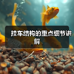 挂车结构的重点细节讲解（图4）