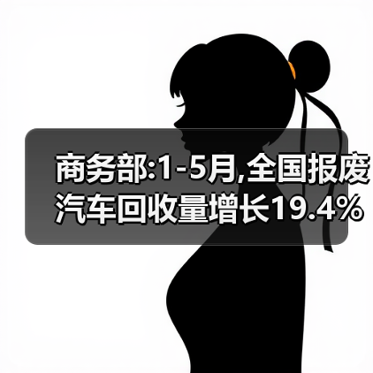 商务部:1-5月,全国报废汽车回收量增长19.4%（图4）