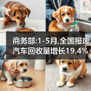商务部:1-5月,全国报废汽车回收量增长19.4%（图3）