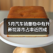 5月汽车销量稳中有升 新能源市占率近四成(图3) 5月汽车销量稳中有升 新能源市占率近四成(图3)