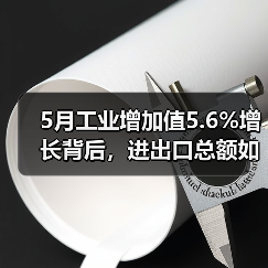 5月工业增加值5.6%增长背后，进出口总额如何突破8.6%？（图3）