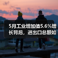 5月工业增加值5.6%增长背后，进出口总额如何突破8.6%？（图4）