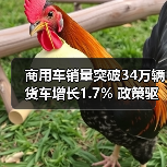 商用车销量突破34万辆 货车增长1.7% 政策驱动市场增长